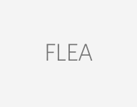 The word flea is on a white background.