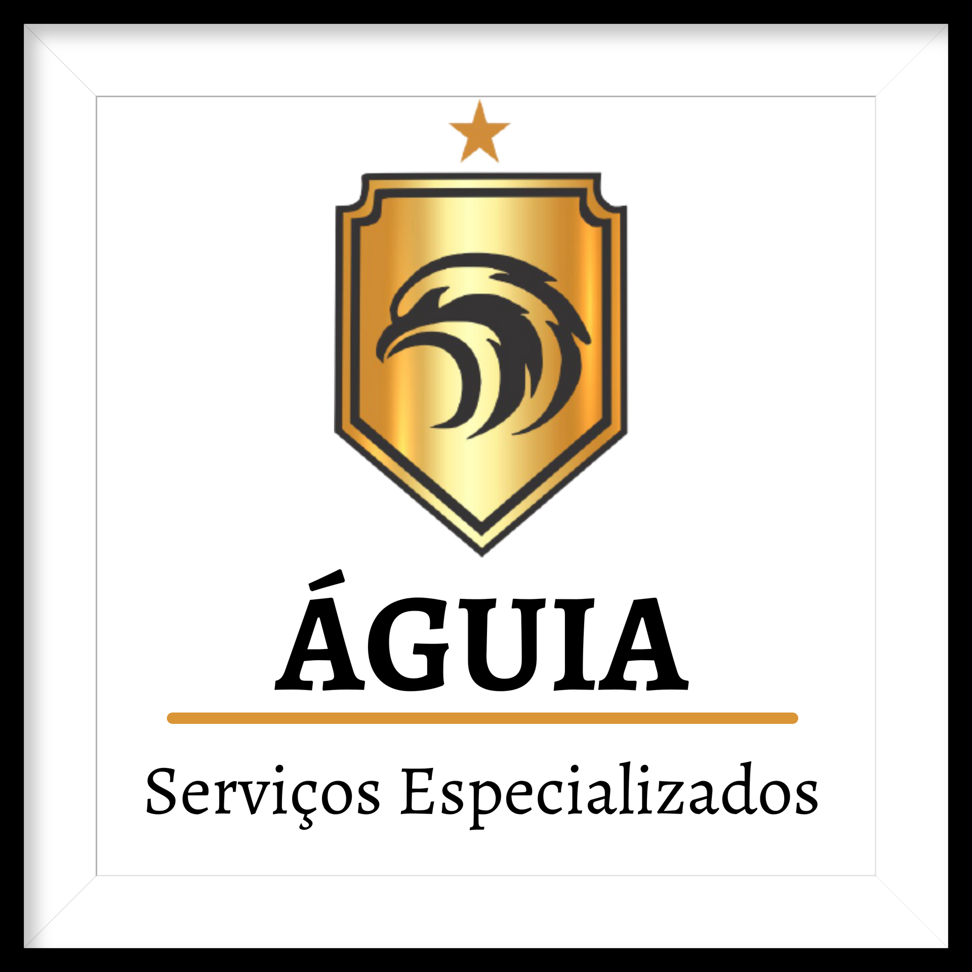 Aguia Seguranca Especializada
