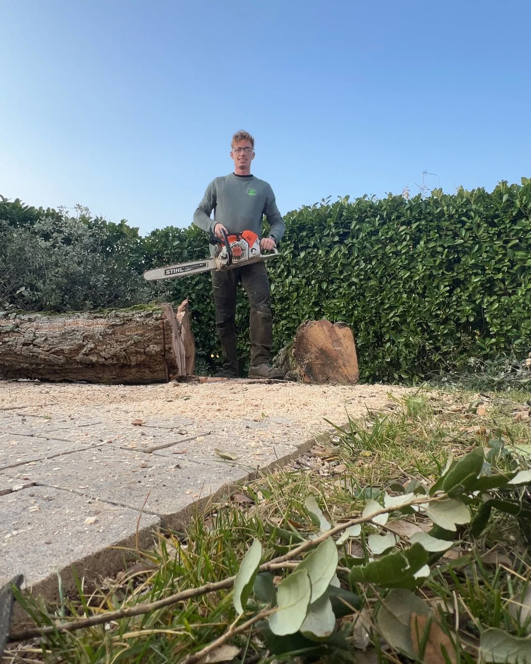 Casa rossa con albero sempreverde a forma di spirale di fronte, cielo azzurro.