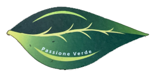 Logo a forma di foglia verde con la scritta