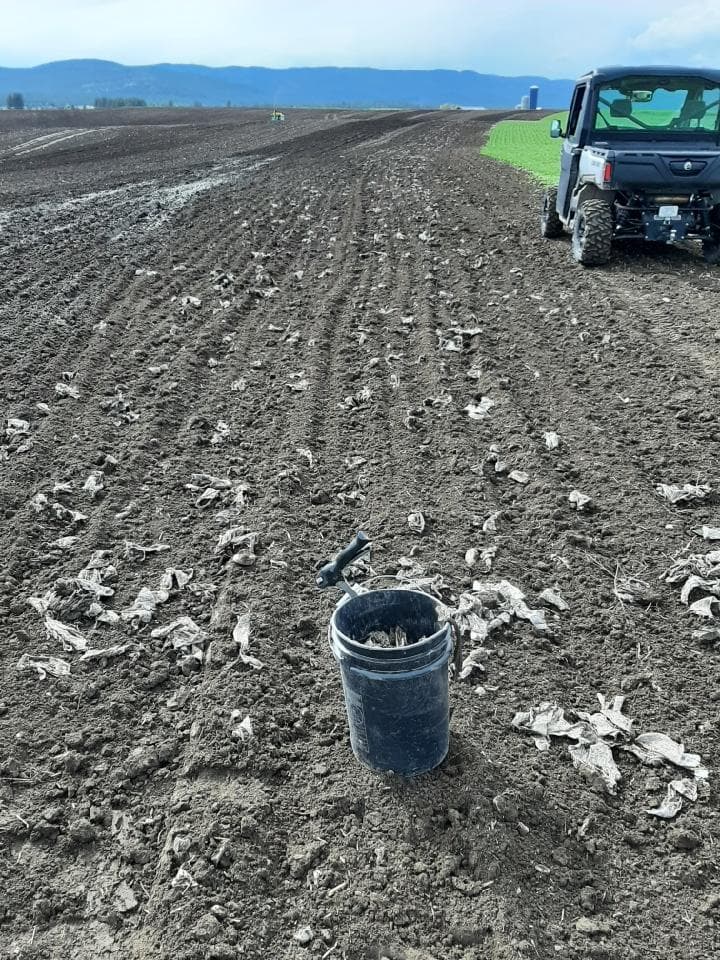 Aftermath of tractor work — Kalispell, MT — Pedersen & Co Pumping, Inc.