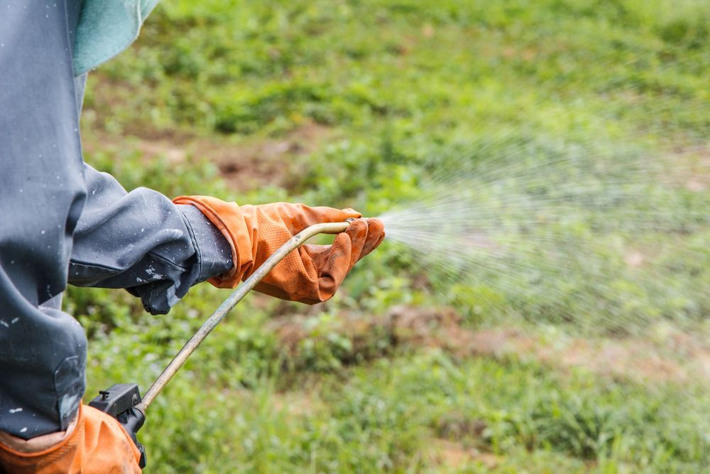 Person in Protective Gear Spraying a Lawn with A Pesticide — Young's Lawn Care In Kelso, QLD