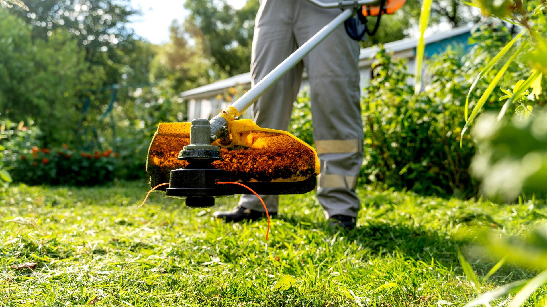Person Using a Weed Whacker to Trim Grass in A Backyard — Young's Lawn Care In Kelso, QLD