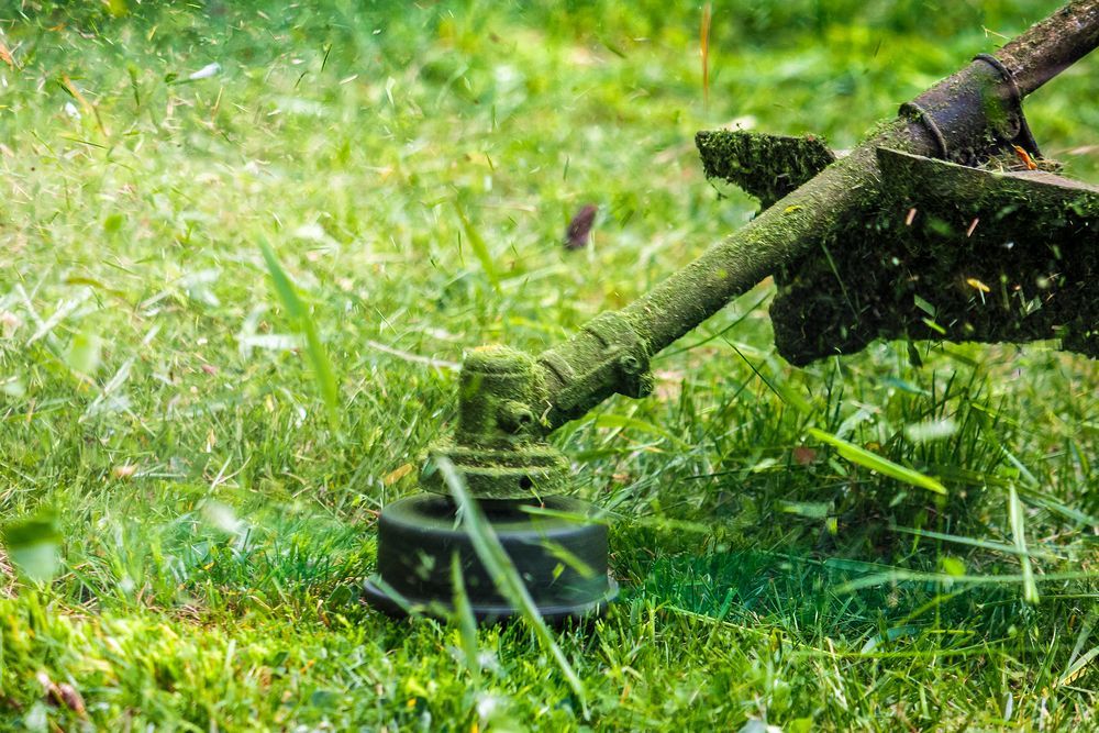 String Trimmer Cutting Tall Grass, Spewing Clippings in A Green, Outdoor Setting — Young's Lawn Care In Aitkenvale, QLD