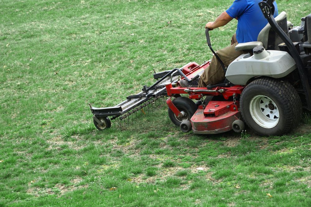 Person on A Red Riding Lawn Mower Mowing Green Grass — Young's Lawn Care In Kelso, QLD