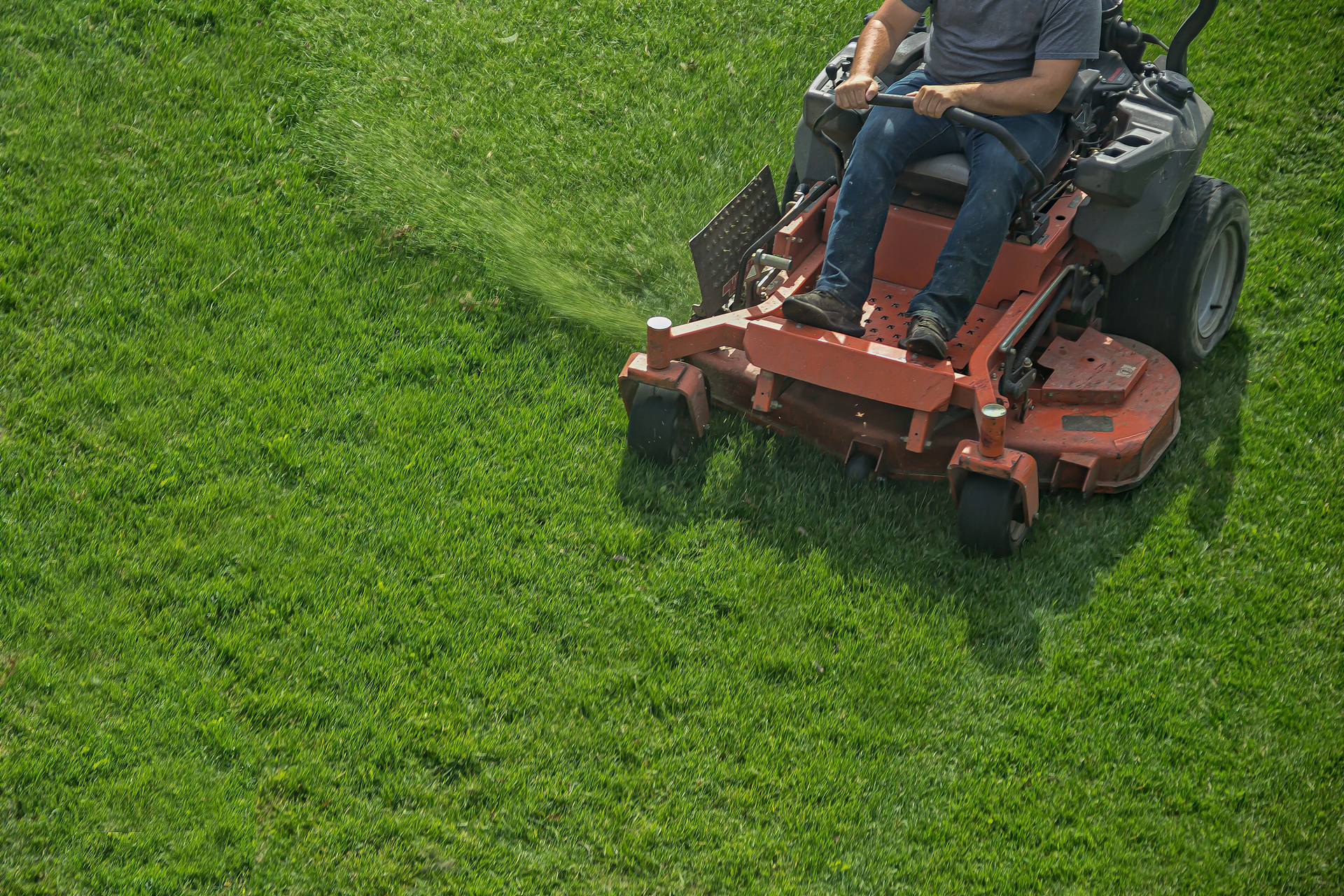 Person on A Red Riding Lawn Mower Cutting Bright Green Grass in An Open, Sunny Area — Young's Lawn Care In Aitkenvale, QLD
