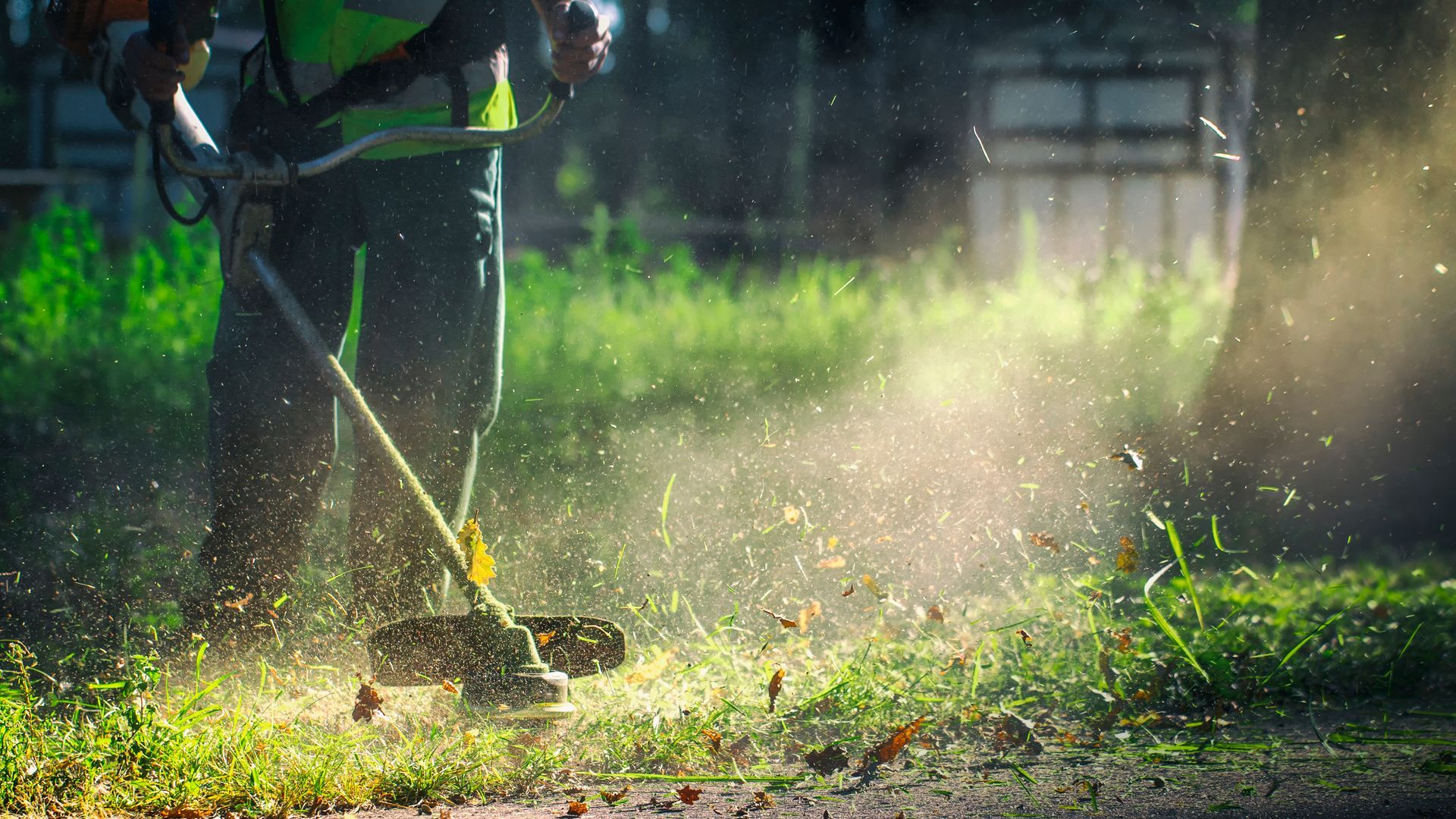 Person Using a Weed Wacker, Kicking up Grass and Debris in A Sunny Grassy Area — Young's Lawn Care In Aitkenvale, QLD