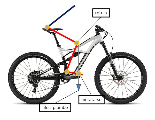 setup bici