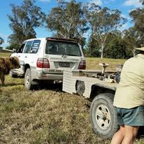 White SUV towing a trailer, dog, and person in field — Rosewood Environmental Services Pty Ltd in Wauchope, NSW