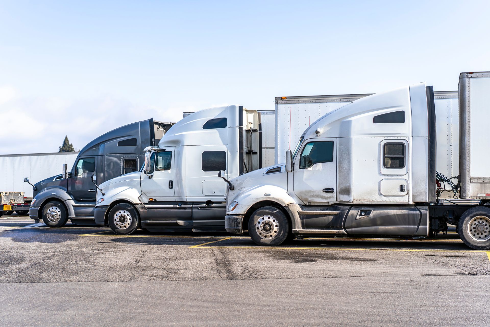Three semi-trucks parked in a lot, various shades of gray and white, sunny outdoor setting.