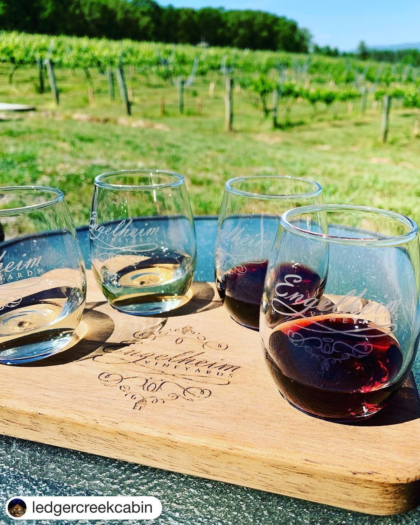 Three glasses of wine on a cutting board with a vineyard in the background