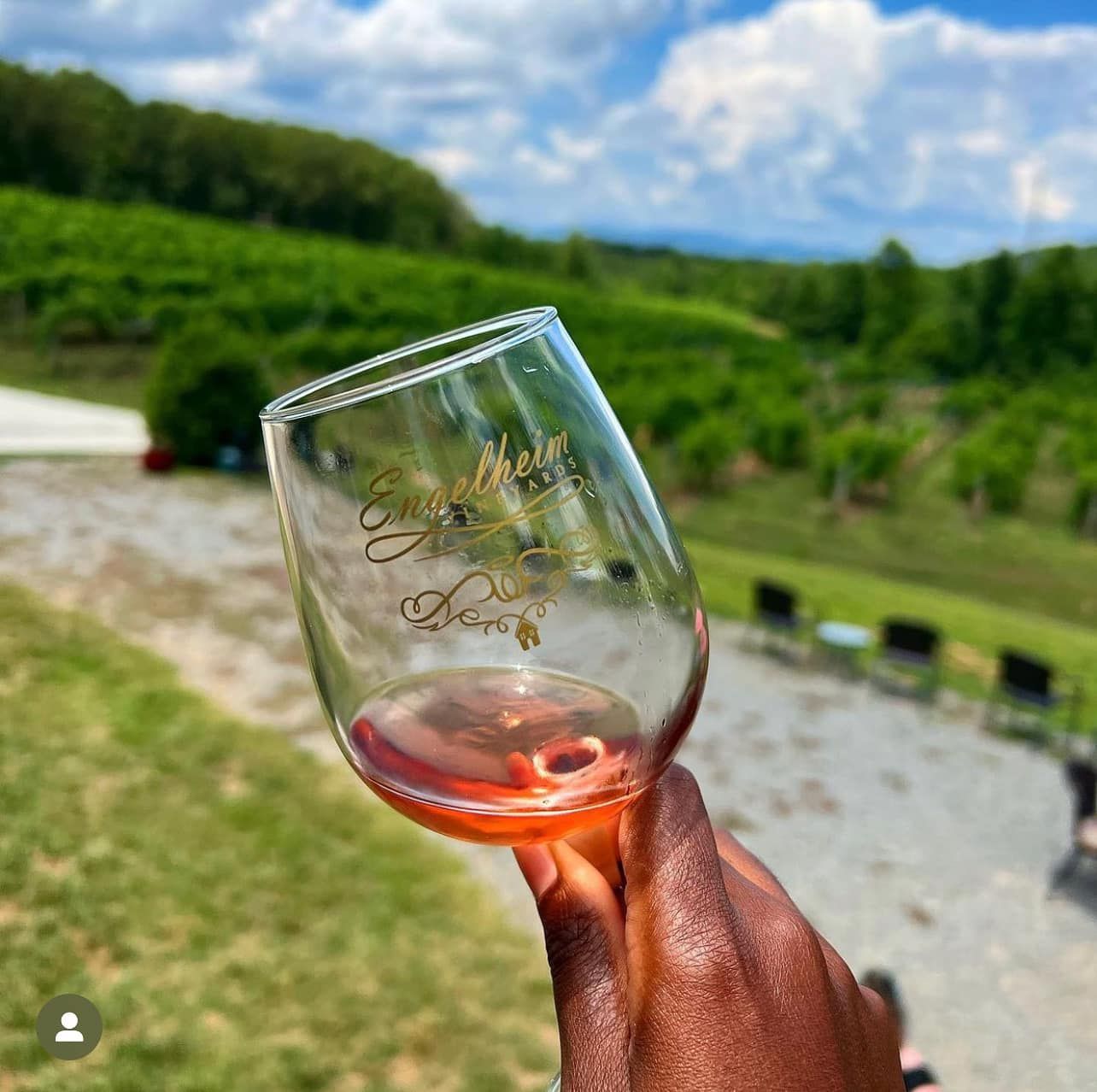 A person is holding a wine glass with a vineyard in the background
