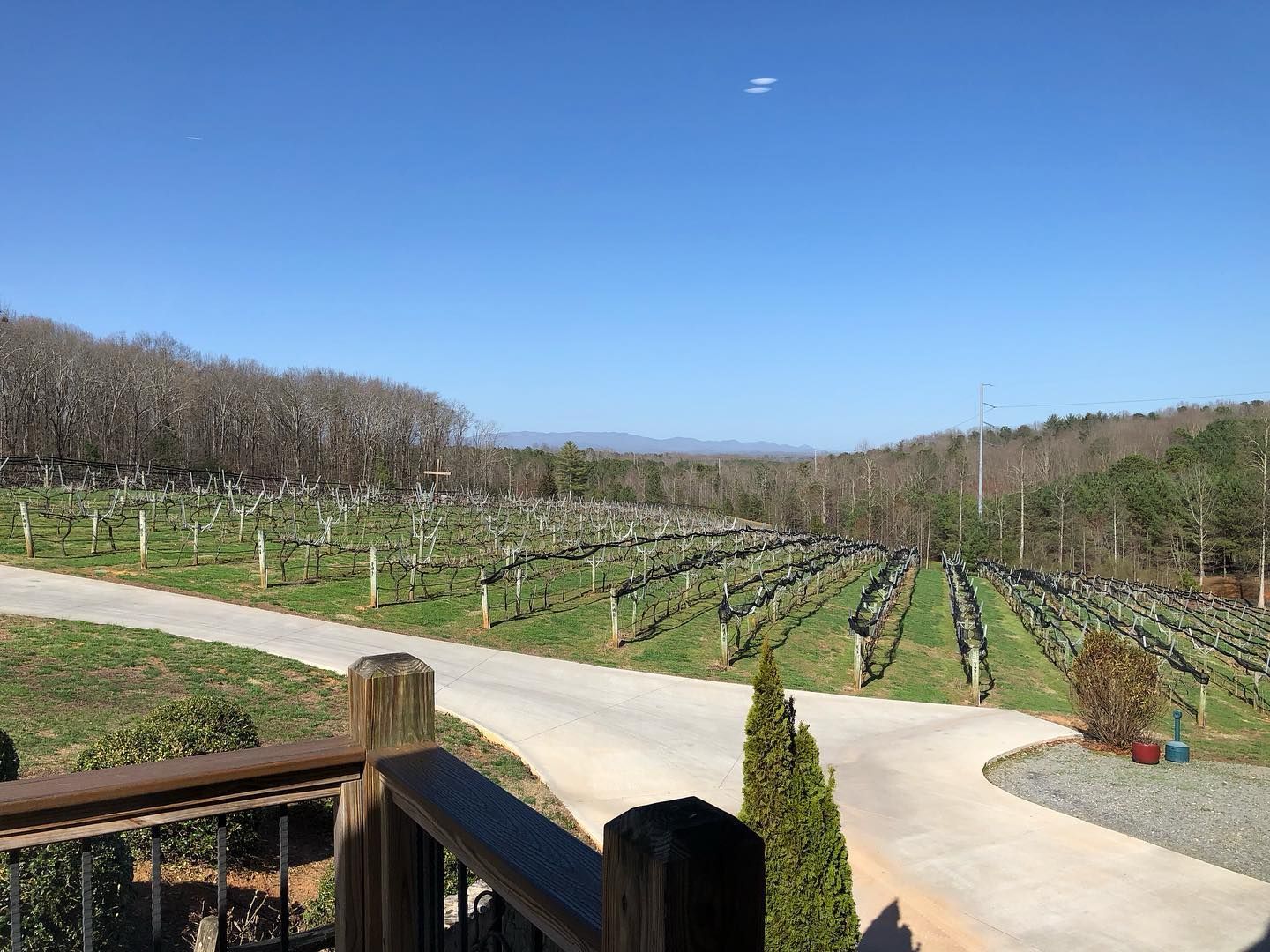 A view of a vineyard from a balcony on a sunny day