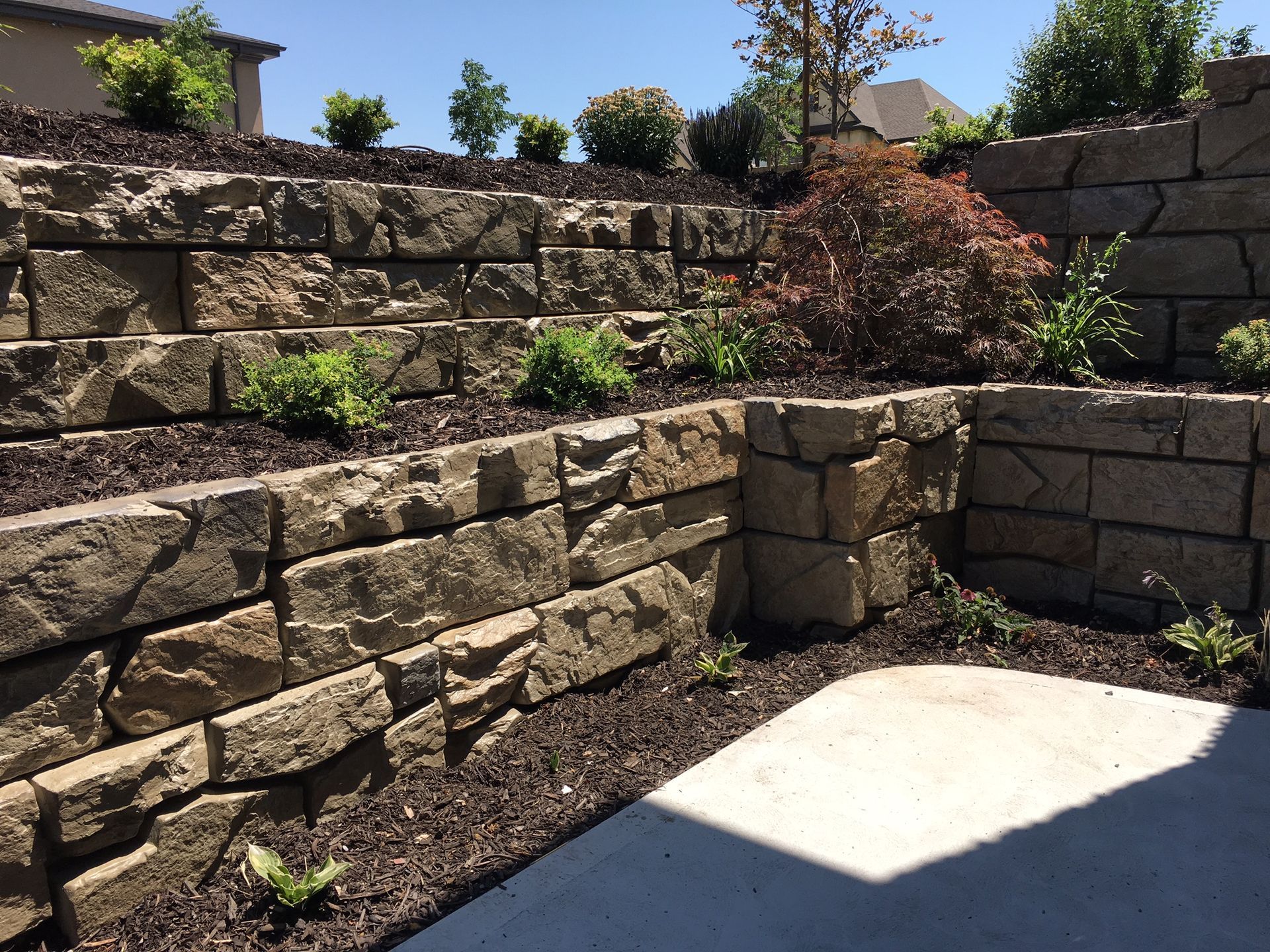 A stone wall with a lot of plants growing on it