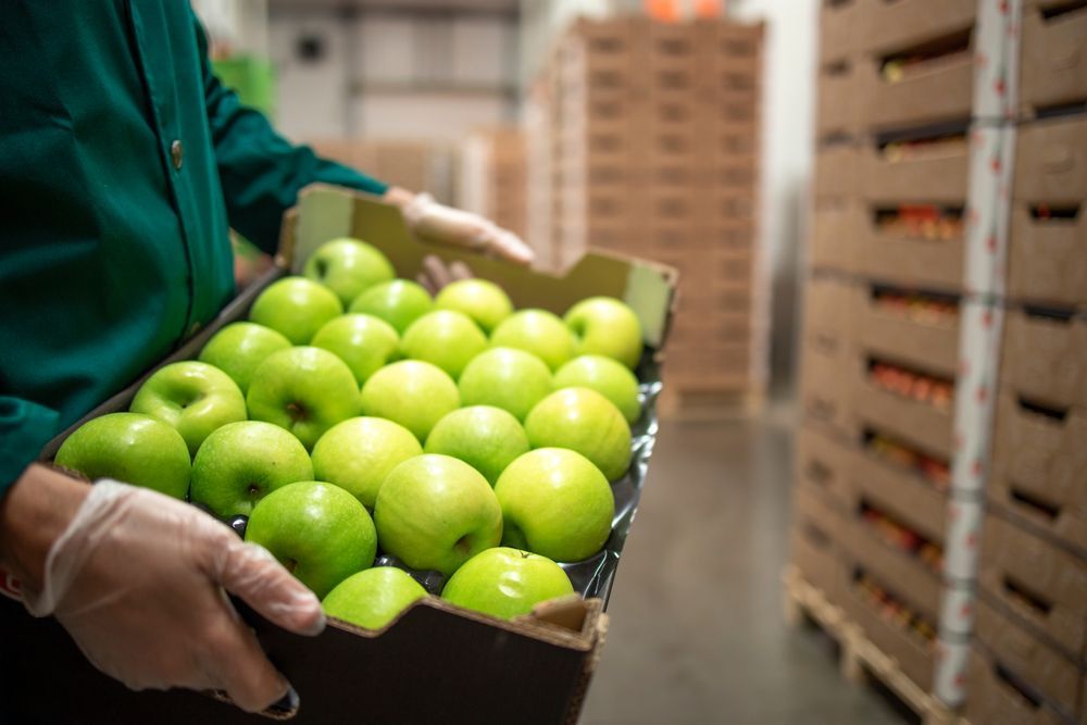A person is holding a box of green apples in a warehouse.