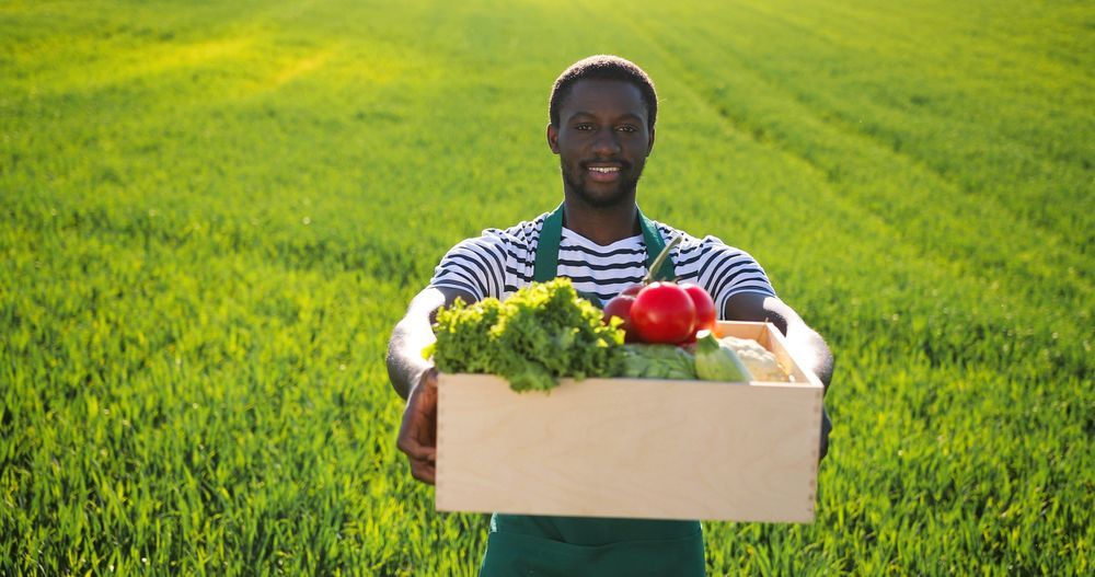 A man is holding a box of vegetables in a field.