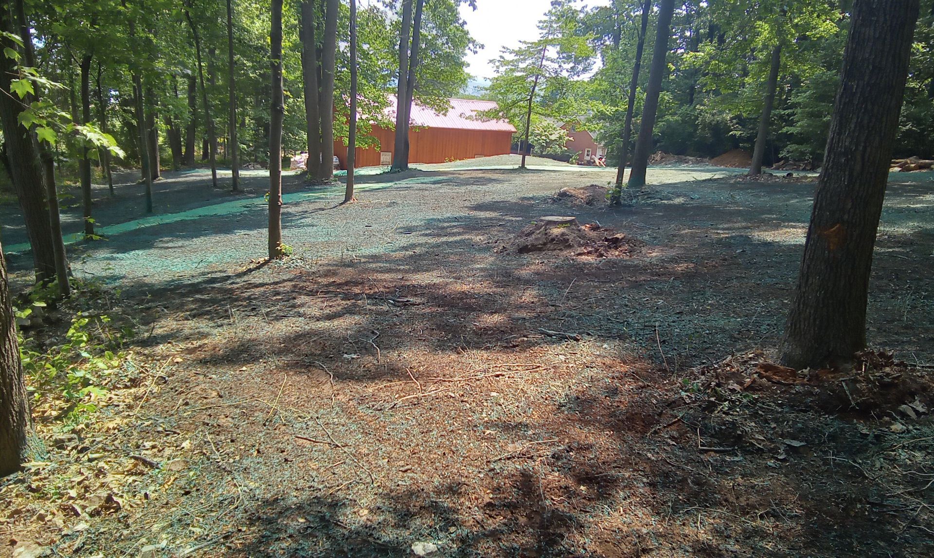 A lot of Tree — Atglen, PA — Valley Creek Property Services