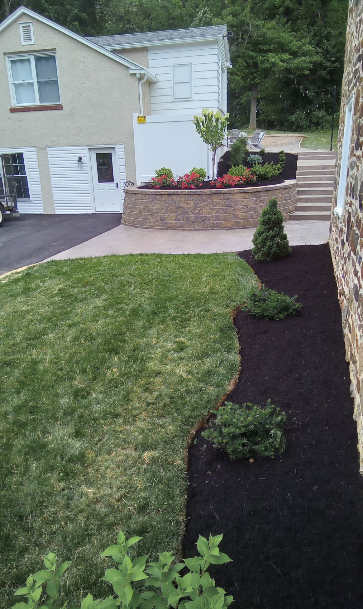 Massive Tree With a Car Behind — Atglen, PA — Valley Creek Property Services