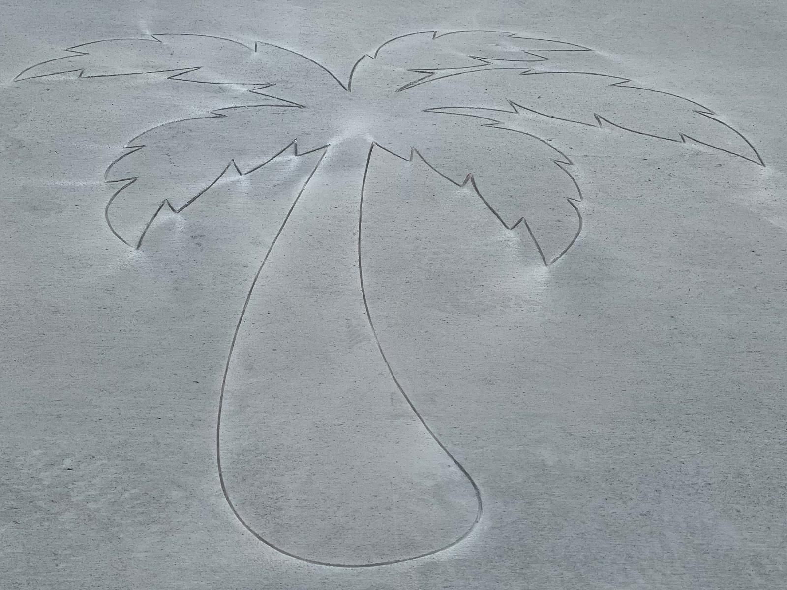A drawing of a palm tree on a concrete surface