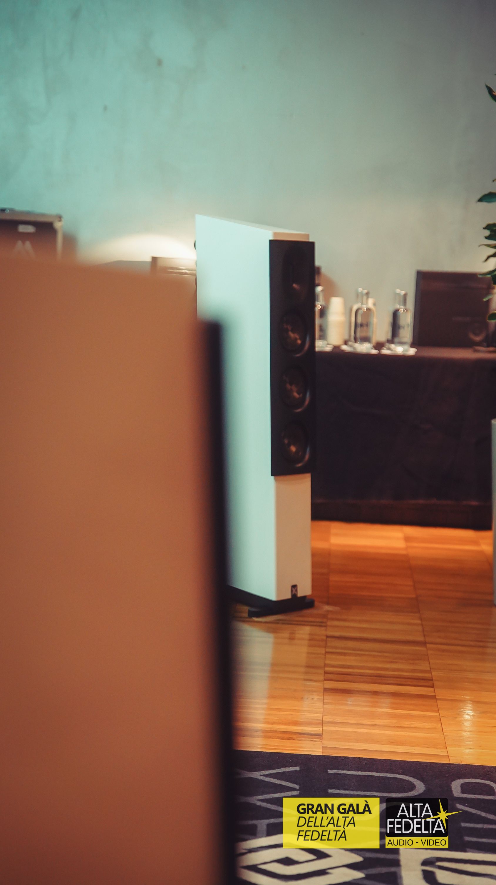 Gran Galà dell'Alta Fedeltà, la fier a Hifi organizzata da Giulio  Cesare Ricci. Inn questa Edizione di Milano, delle bellissime  sale come Borresen, aavik ma anche Naim, Focal, Rega, Leica, Hiesense. In sala Petra Magoni e 