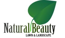 Natural Beauty Lawn & Landspace