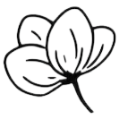 Magnolia Events & Decor