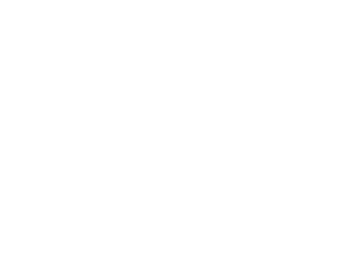 dmv invest logo