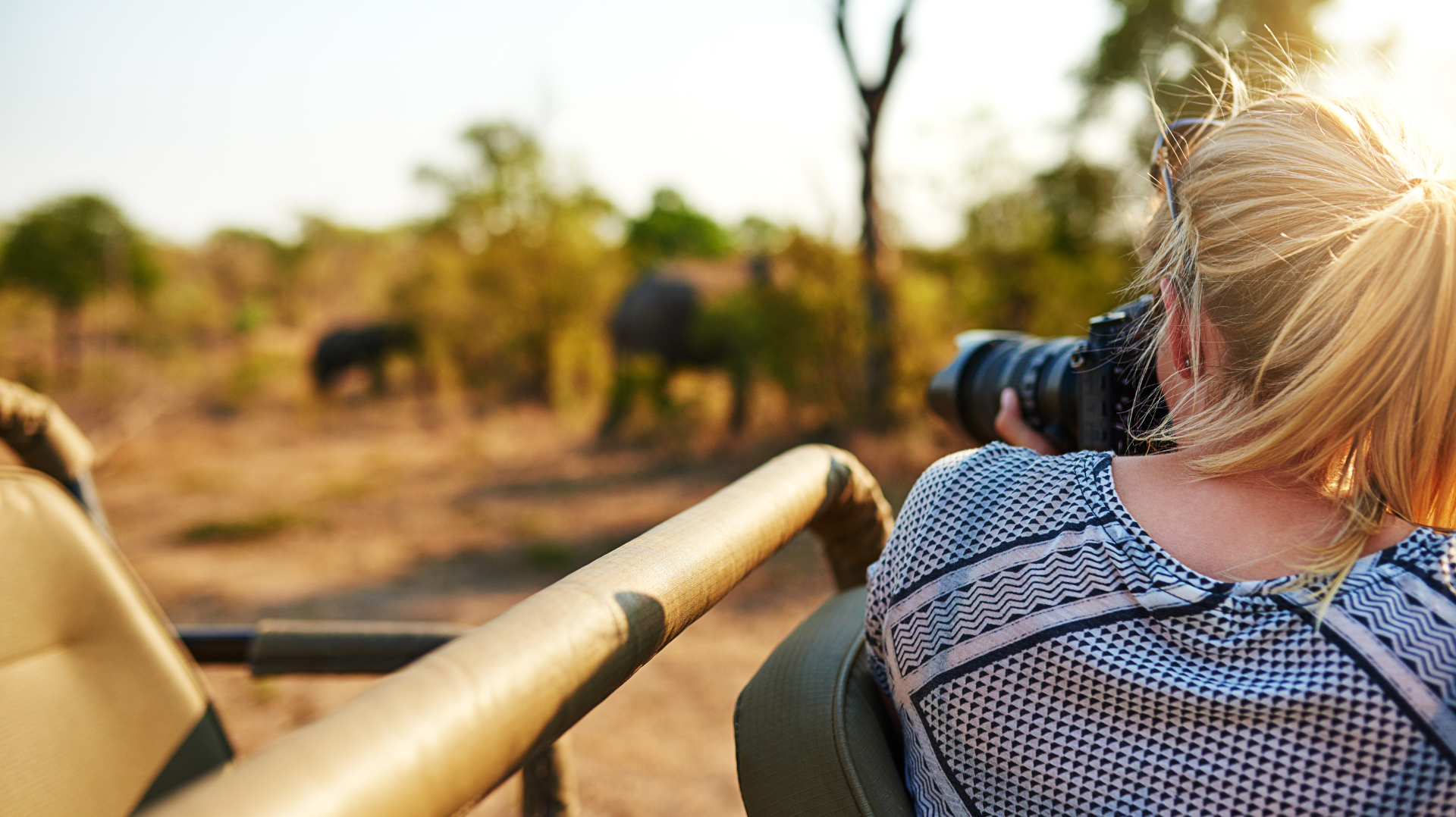 Woman photographing elephants from a safari vehicle in an open, sunlit landscape.