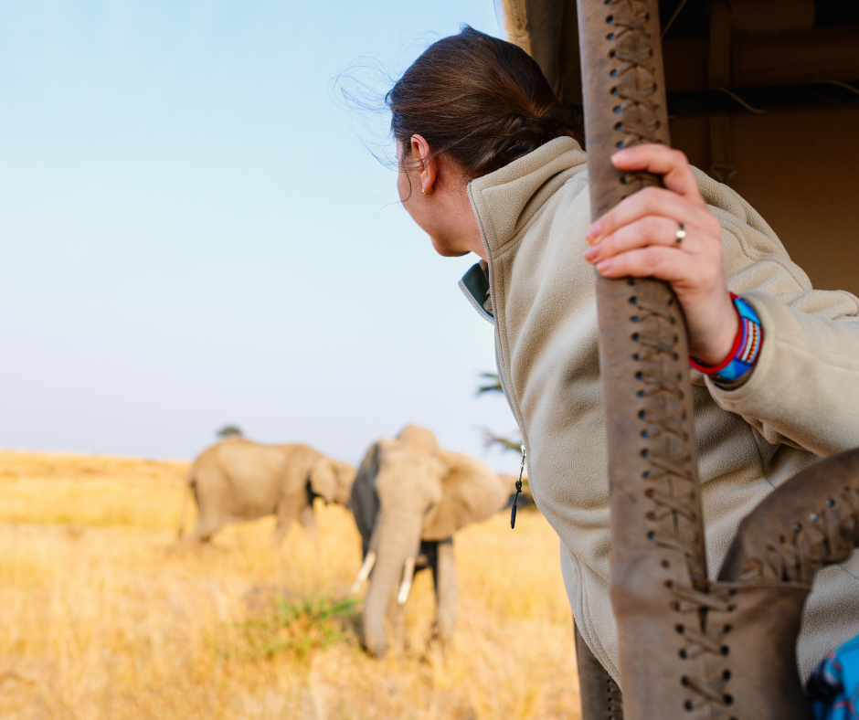 Woman in safari vehicle watching elephants in a golden field.