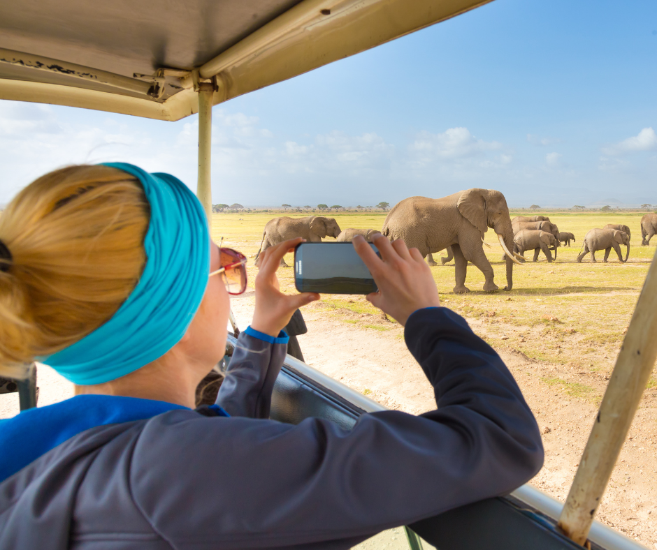 Woman in safari vehicle taking photo of elephants in open grassland.
