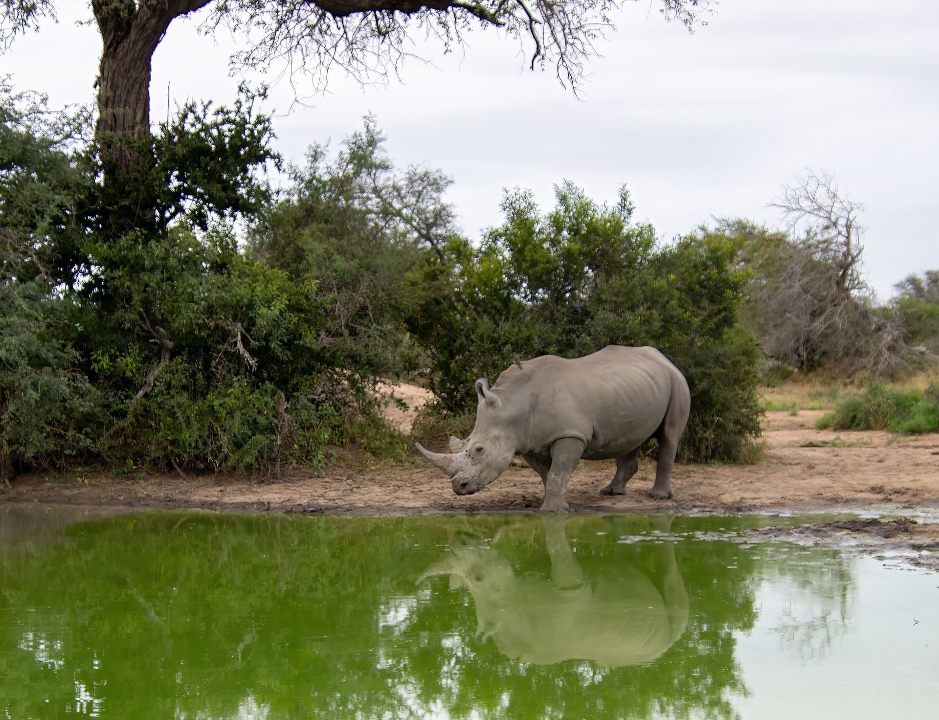 Sandstone canyon walls in shades of red and brown, sculpted by wind and water.