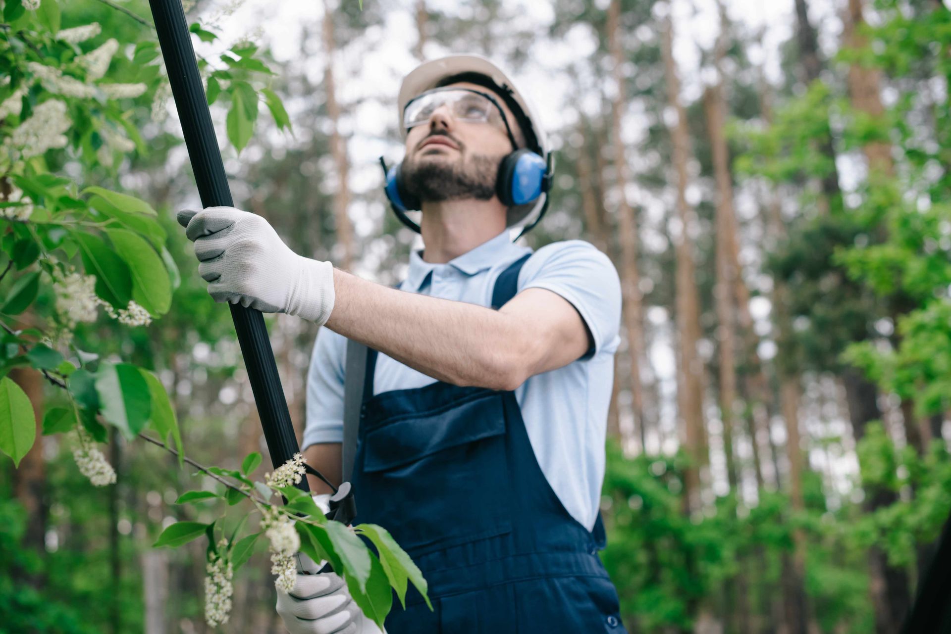 A man using a chainsaw on a high branch