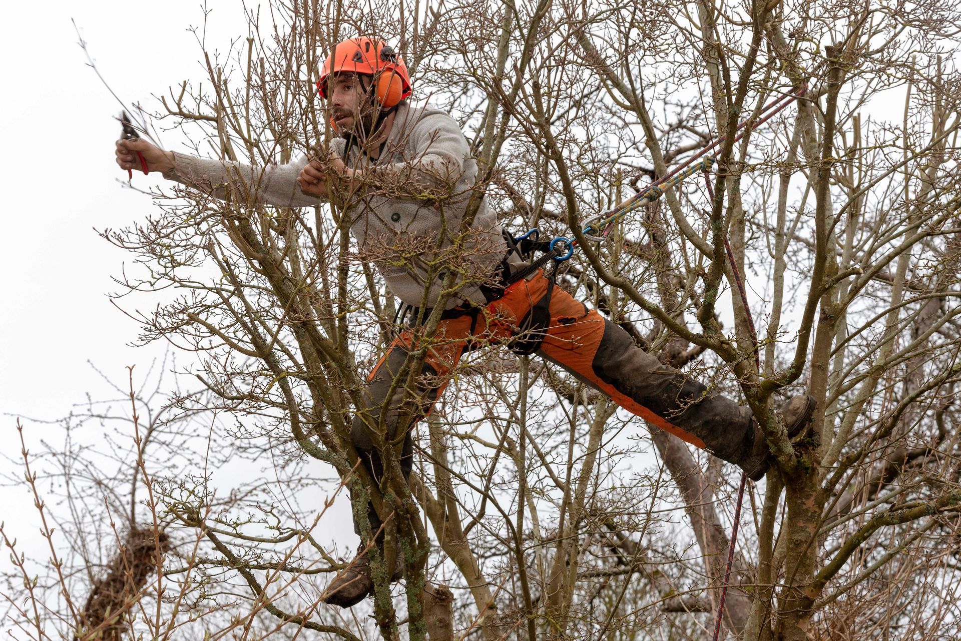 A man on top of branches with cables on him
