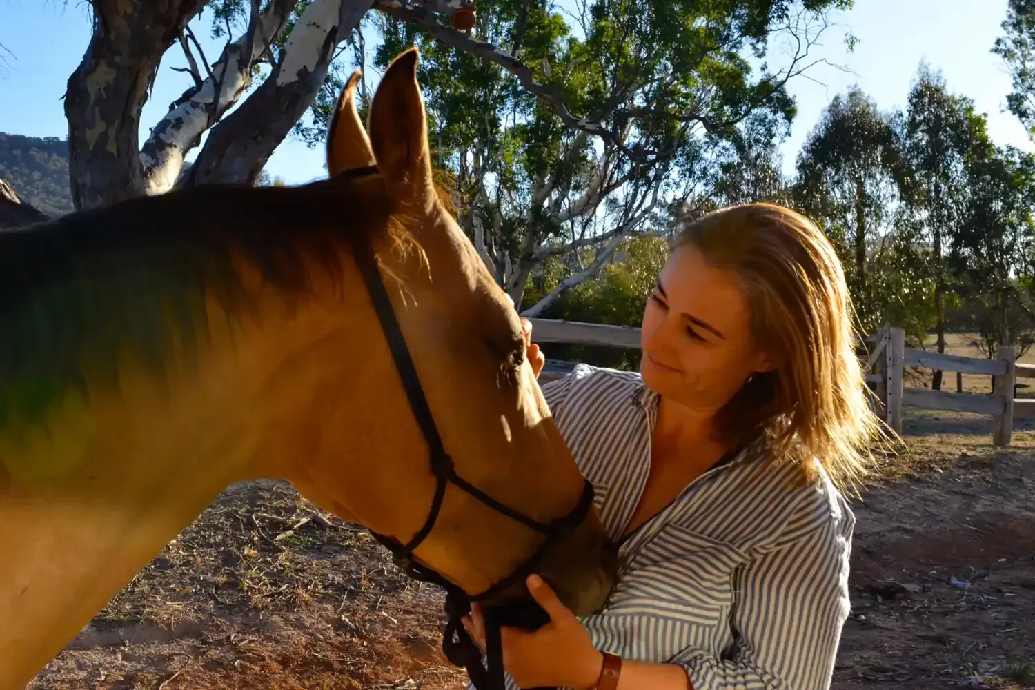 Jane Hall, The Wellbeing Paddock