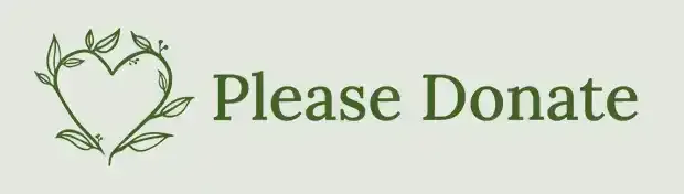 Please donate to Healing & Hope