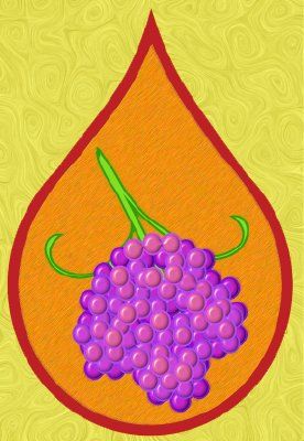 Grapes icon