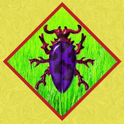 Teer Beetle icon