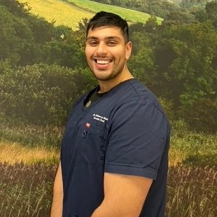 Dr. Mohammad Hamid - General Dentist at Stepaside Dental