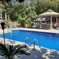 Swimming pool with a covered patio, palm trees, and plants under a bright sky.