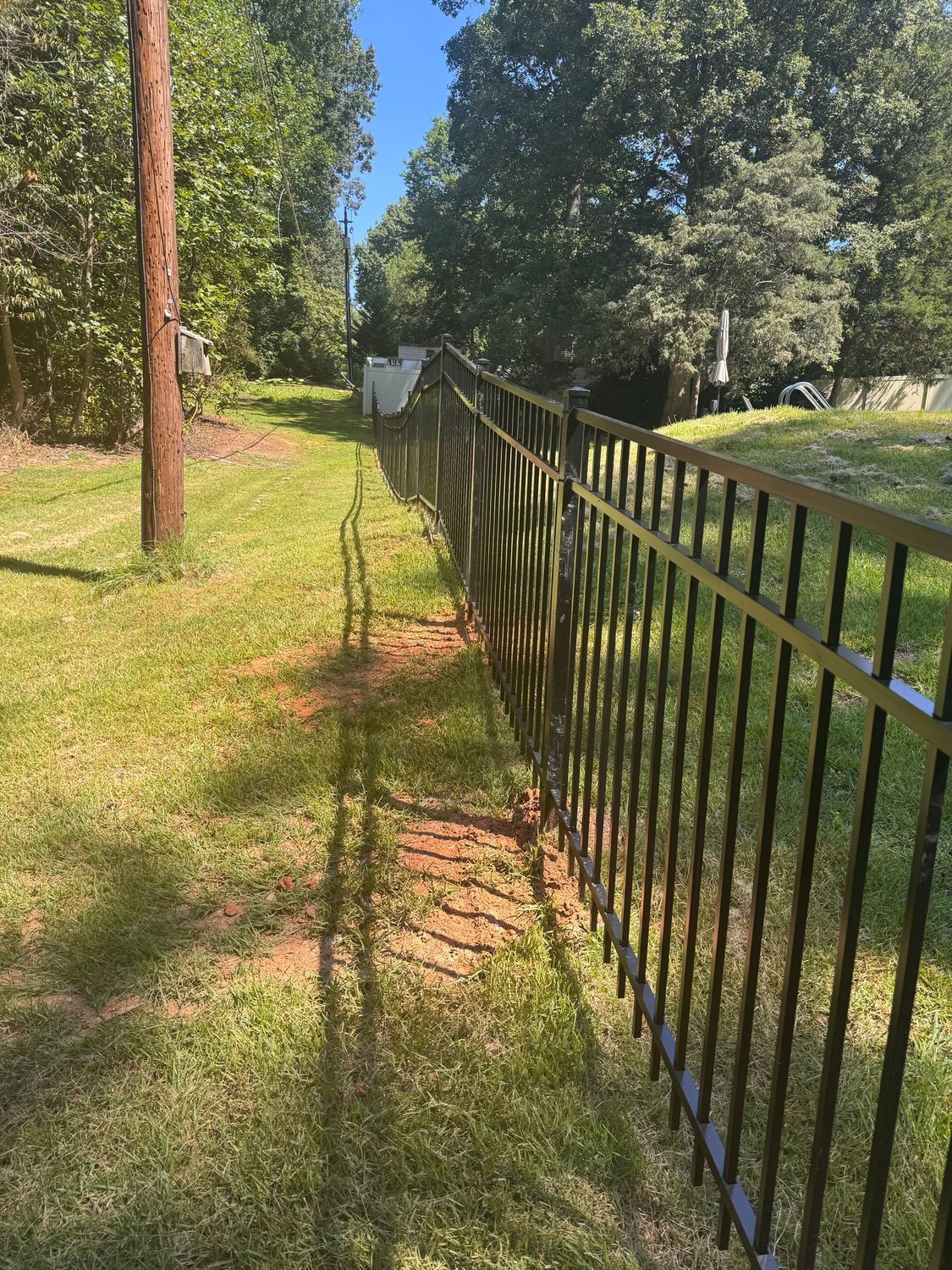 Black metal fence runs along a grassy yard, beside trees and a utility pole.