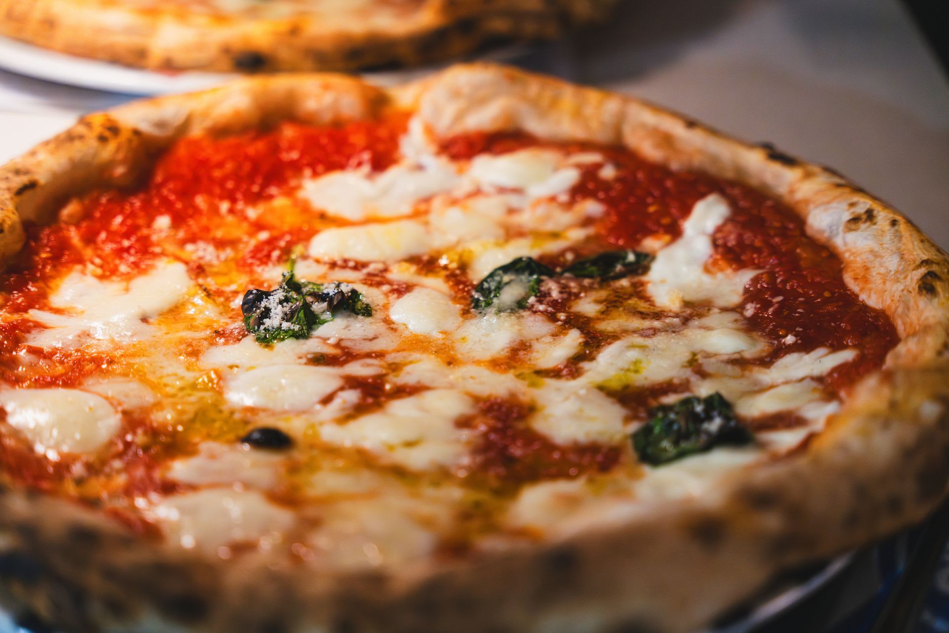 Pizza con mozzarella fusa, salsa di pomodoro e basilico.