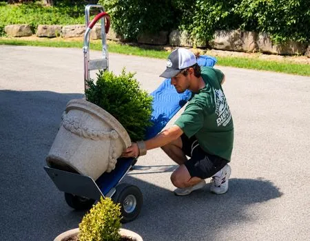 Worker loading a large planter onto a dolly on a sunny driveway