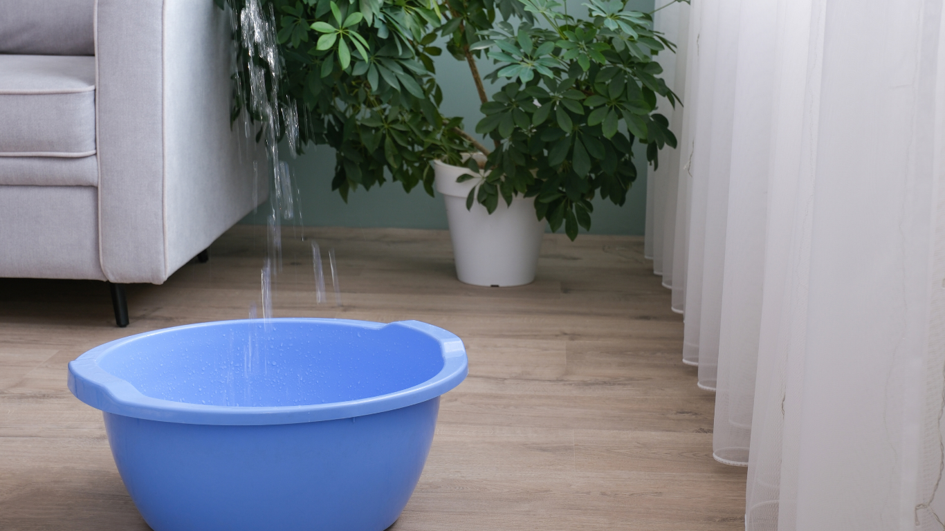 Water pouring from ceiling into blue basin on floor, near sofa and potted plant.