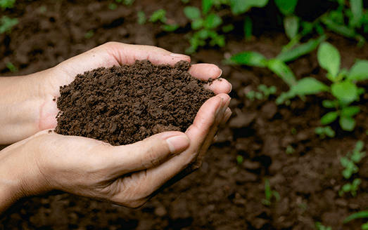 Than — Soil in Belton, TX