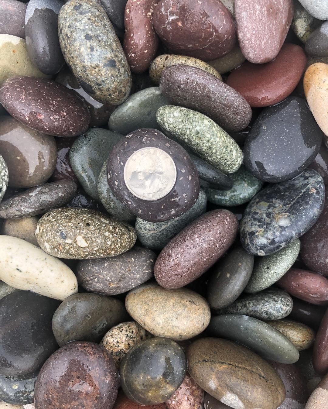 Colored — Multi Colored Mexican in Belton, TX