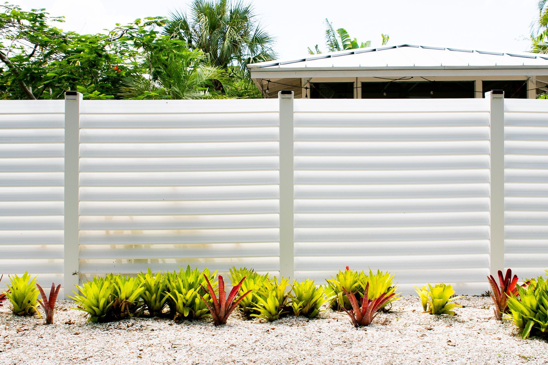 A white, horizontal-slatted privacy fence stands behind a row of green and reddish plants on a light gravel bed.