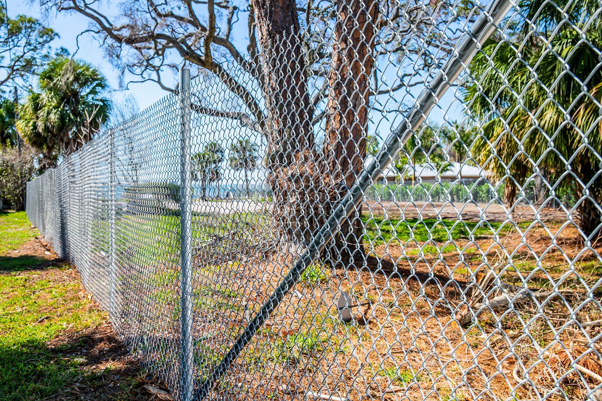 A tall chain-link fence with barbed wire on top runs diagonally across a bright, grassy park with trees.