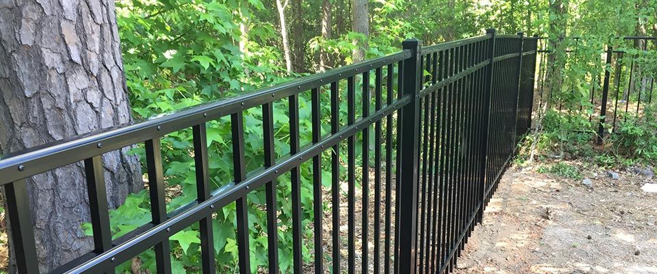 What is the Best Type of Fence for Dogs?