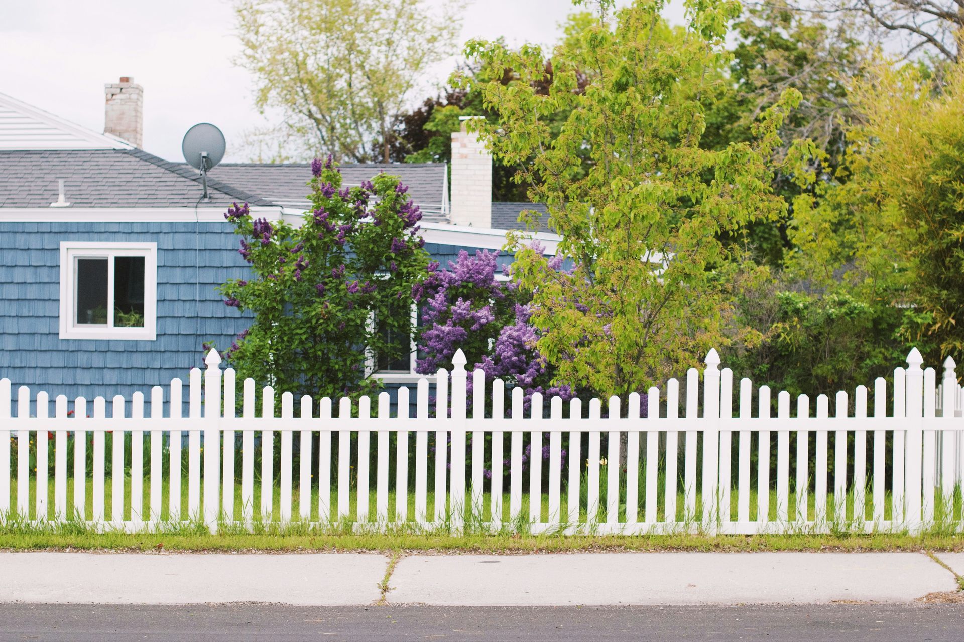A white picket fence bordering the property of a blue house
