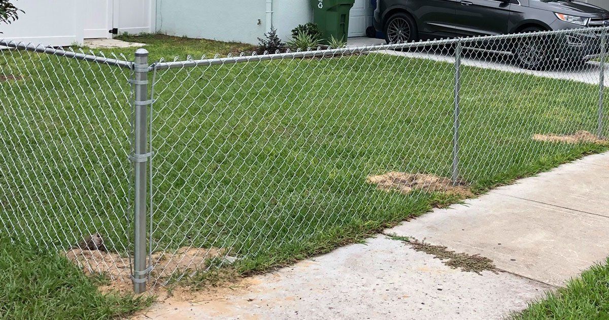 Chain Link Fencing